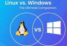 What is the Difference Between Linux And Windows Hosting